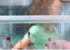 bifunctional reactive dyes exporter