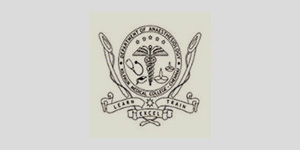 partner-image