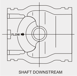 Shaft Downstream
