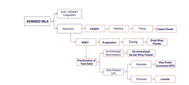 Whey Processing Flow Chart