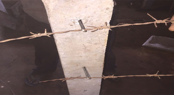 Project 4 image