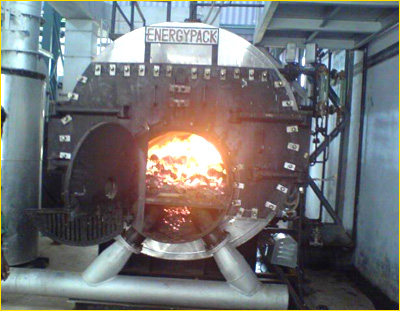 Coal fired steam boiler