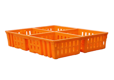Day-old chicks inside 4-compartment transport box with gel feed