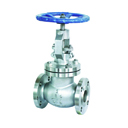 Globe Valve