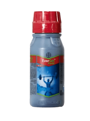 Beverage Label 4