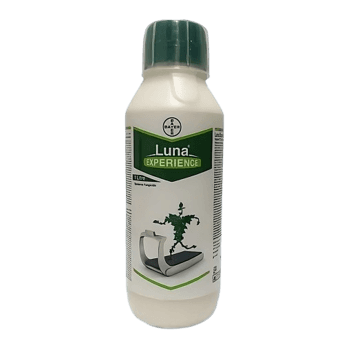 Beverage Label 2