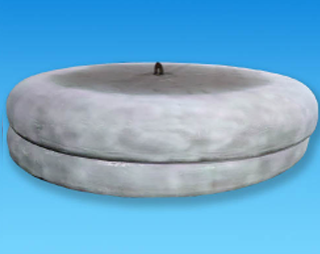 Crown & Petal Gallery 3