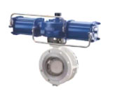 Butterfly Valve