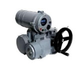 Electric Actuator